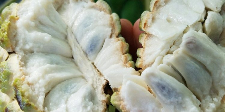 How to remove the seeds from Custard Apple (Sitafal)